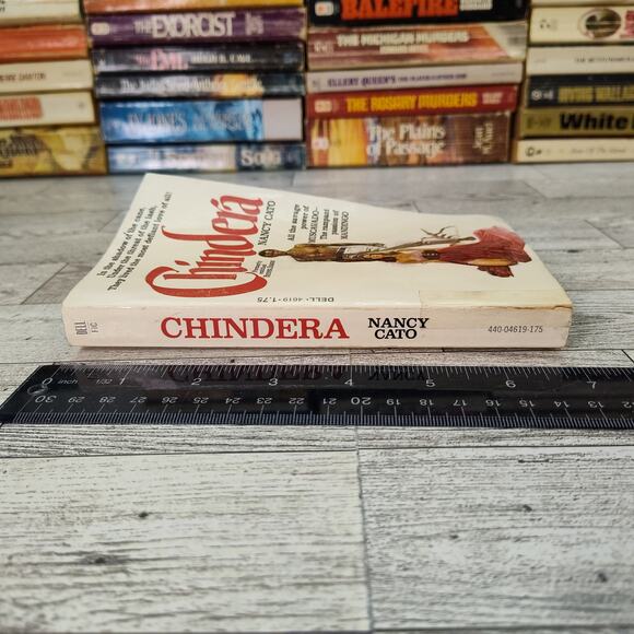 CHINDERA Nancy Cato 1976 Dell 1st Print Paperback Historical Fiction Brown Sugar - Picture 8 of 14